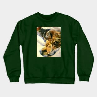 Maceo Crewneck Sweatshirt